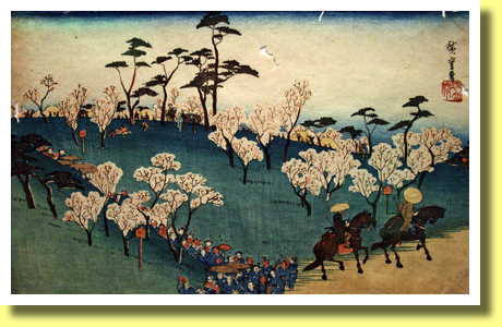 Sakura Viewing at Asukayama, Tokyo National Museum, Ueno, Tokyo, Japan