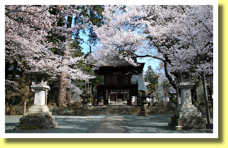 Gate of Erin-ji Temple and Sakura, Koshu, Yamanashi, Koh-Shin-Etsu