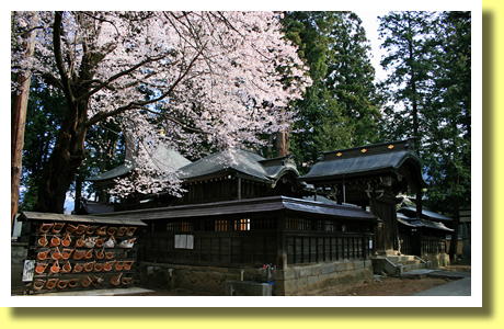 Myoo-den of Erin-ji Temple and Sakura, Koshu, Yamanashi, Koh-Shin-Etsu