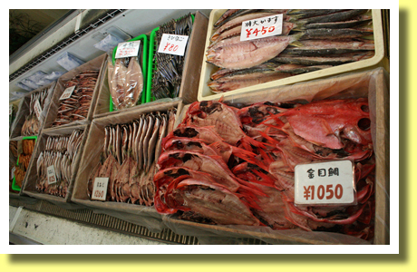 Dried Fishes, Shimoda, Shizuoka, Tokai