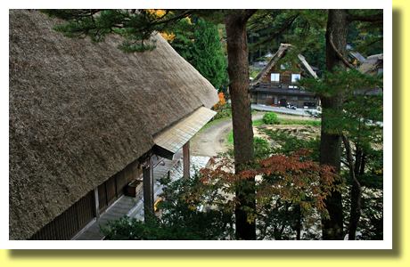 Thatched Roof of Main Hall of Myozen-ji Temple, Shirakawa-go, Gifu, Tokai