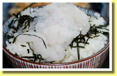 Shiro-Ebi ( Japanese Glass Shrimp ), Toyama, Hokuriku