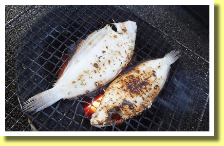 Charcoal Fired Dried Fish in Asaichi, Wajima, Ishikawa, Hokuriku