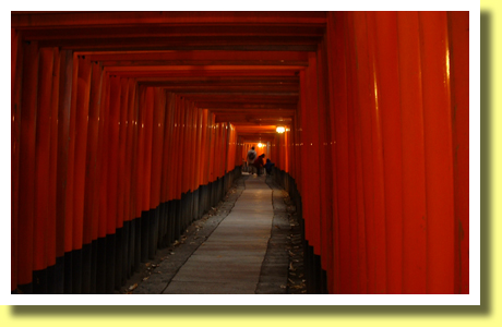 Torii Gates of Fushimi Inari Taisha Shrine, Kyoto, Kinki