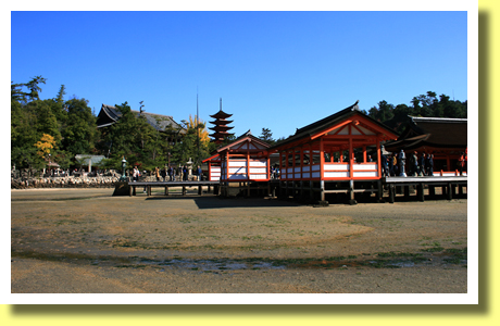 Itsuku-shima Jinja shrine at low tide , Hatsukaichi, Hiroshima, Chugoku