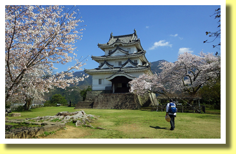 Uwajima-jo Castle, Sakura and a Pilgrim, Uwajima City, Ehime Pref., Shikoku