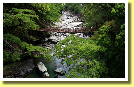 Iya Kazura-bashi Bridge, Iya Valley, Tokushima Pref., Shikoku
