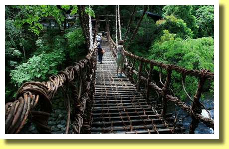 Walking across Iya Kazura-bashi Bridge, Iya Valley, Tokushima Pref., Shikoku