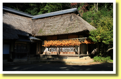 Mori-ke Residence, Mima-cho, Uwajima City, Ehime Pref., Shikoku