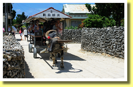 Water Buffalo Cart, Taketomi-jima Island, Okinawa Pref., Kyushu